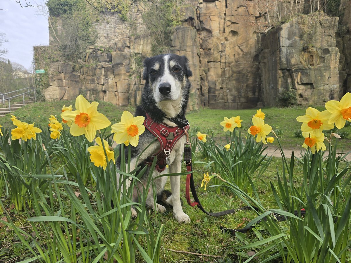 Toby_1000miles tweet media