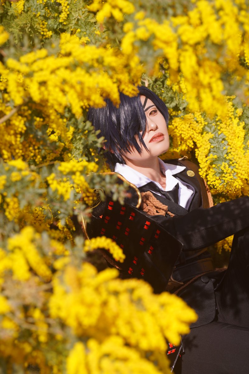 くま吉 tweet media