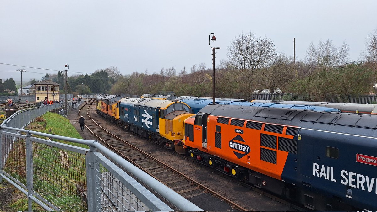 Tim Miller tweet media