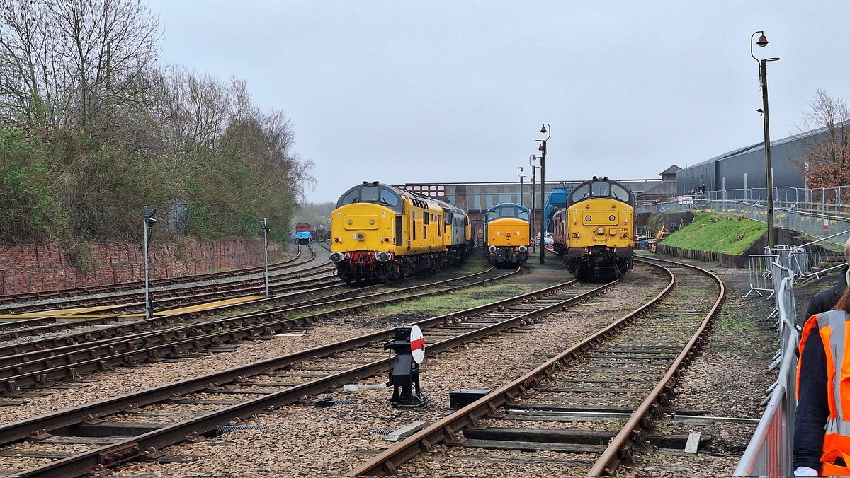 Tim Miller tweet media