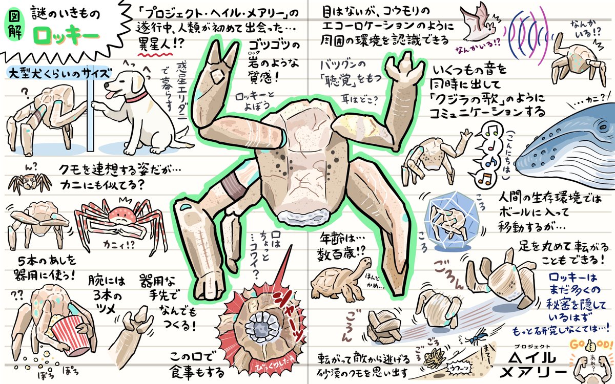 映画『プロジェクト・ヘイル・メアリー』公式 tweet media