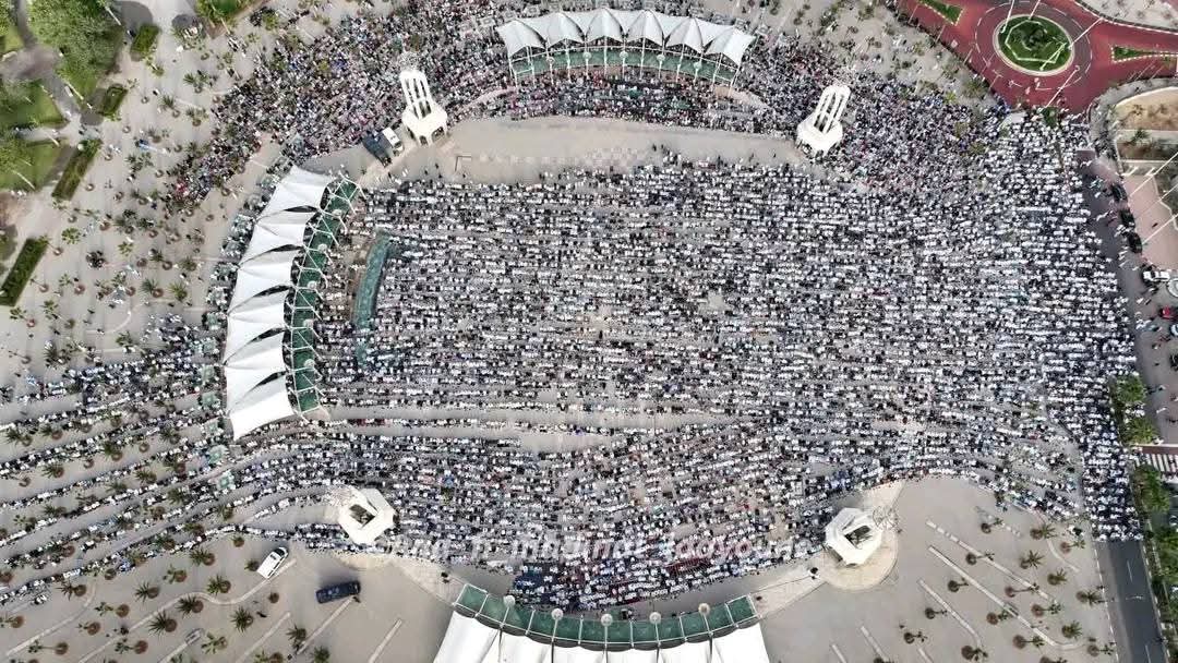 MOROCCO OF TOMORROW tweet media