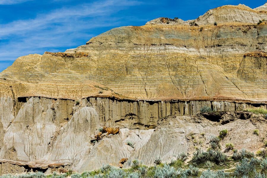 Debra Martz tweet media