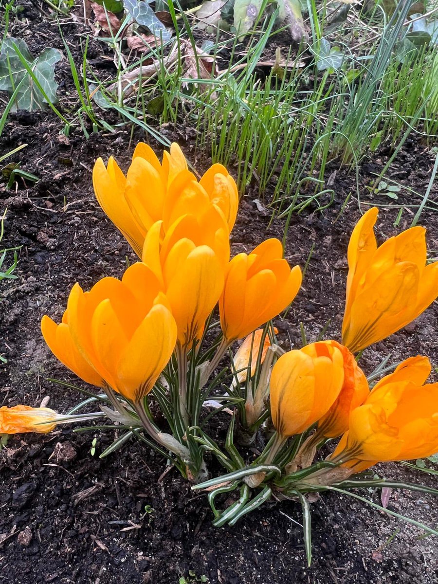 Stanisław Karczewski tweet media