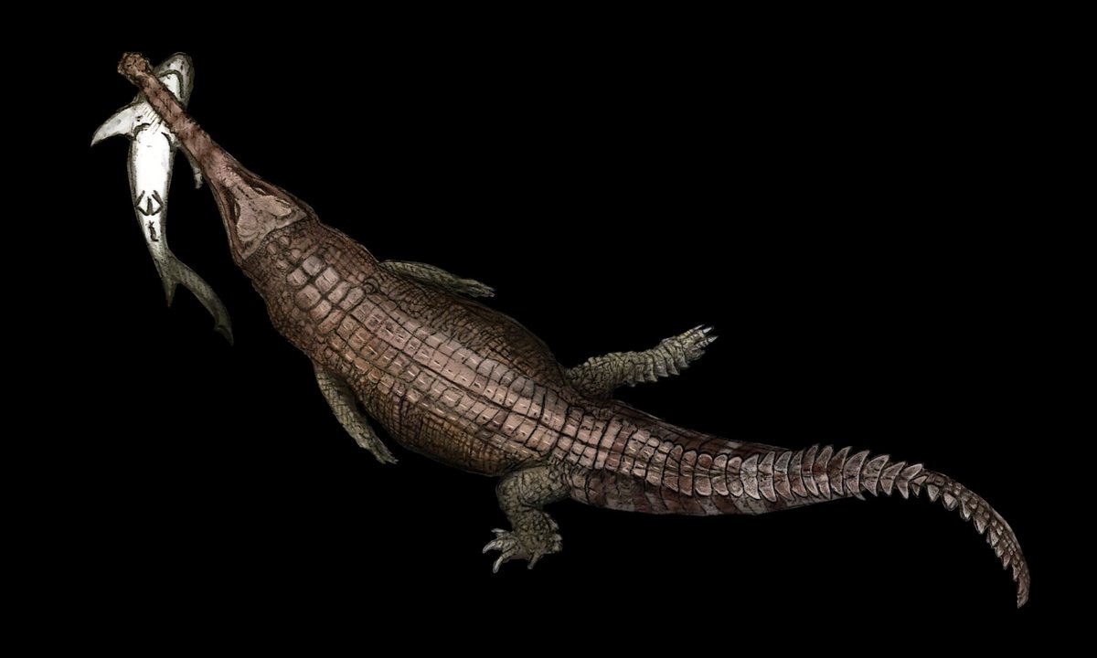 Kai J. Doron tweet media