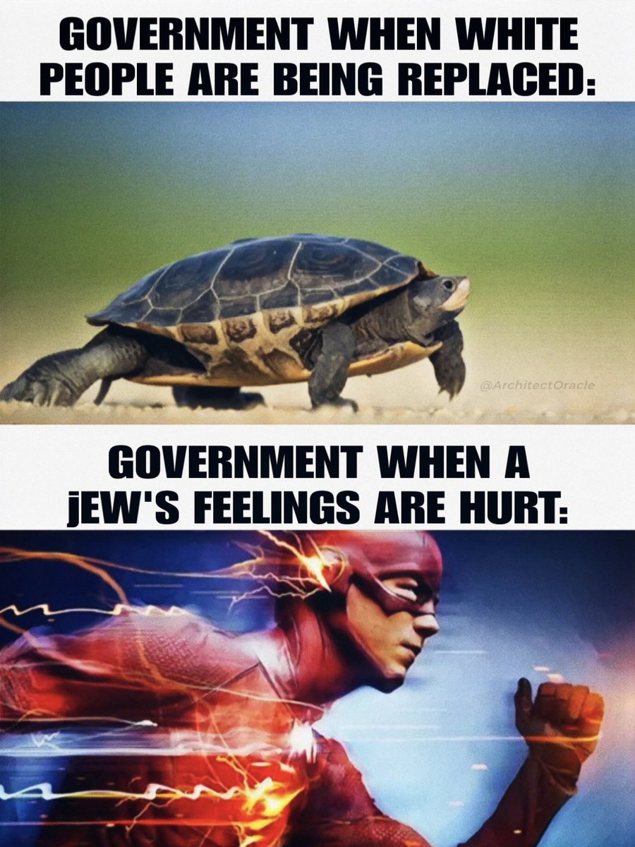 Aleksander 🇳🇴 tweet media