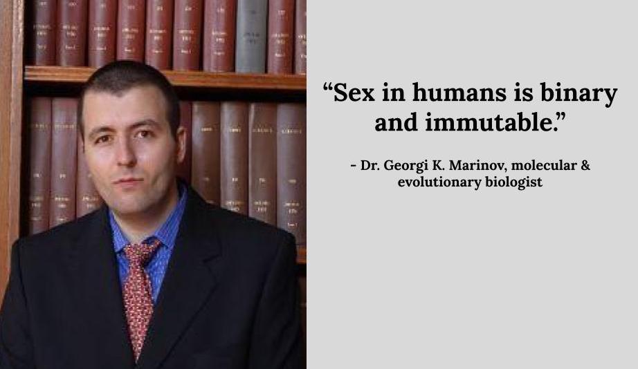 Supernova tweet media