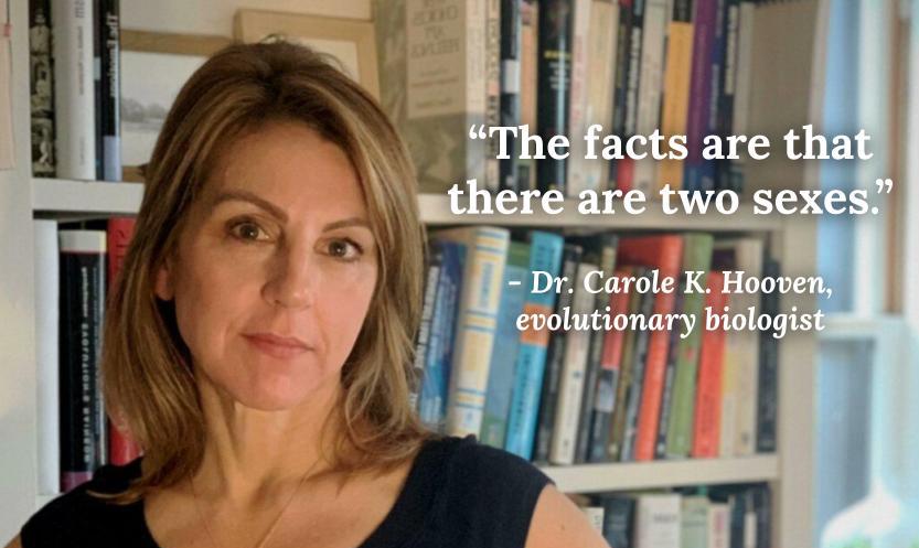 Supernova tweet media