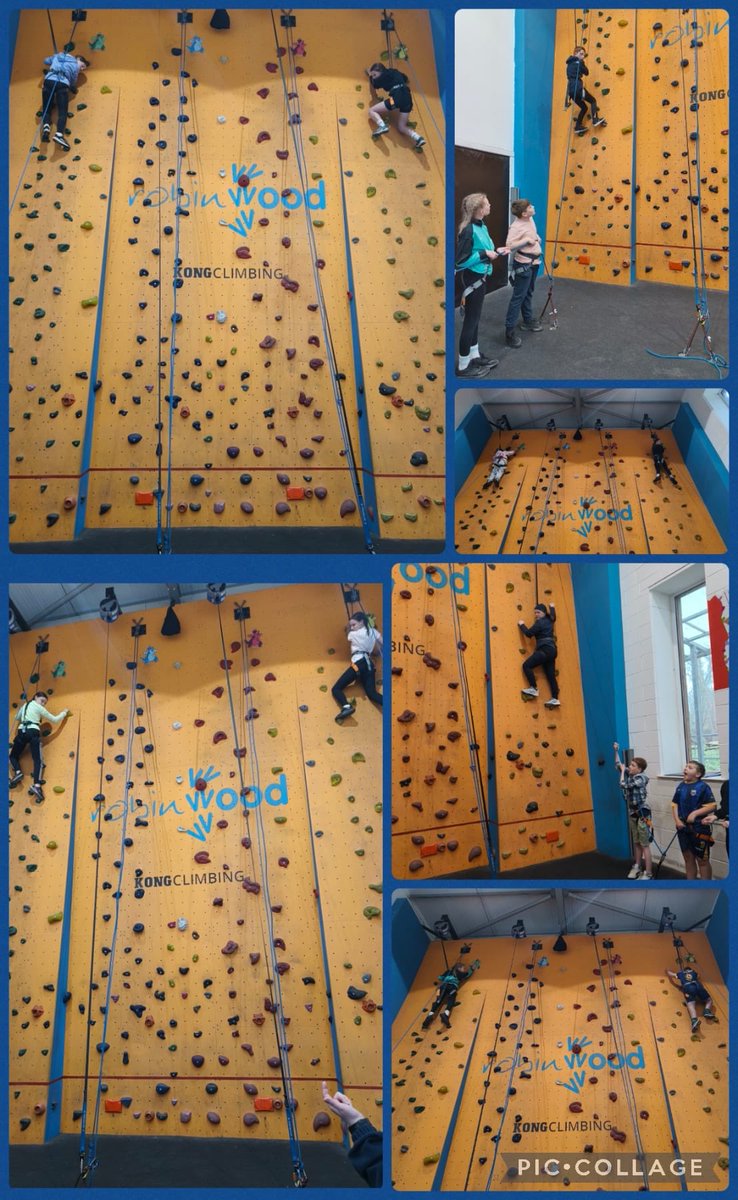 Dane Royd Year 6 tweet media