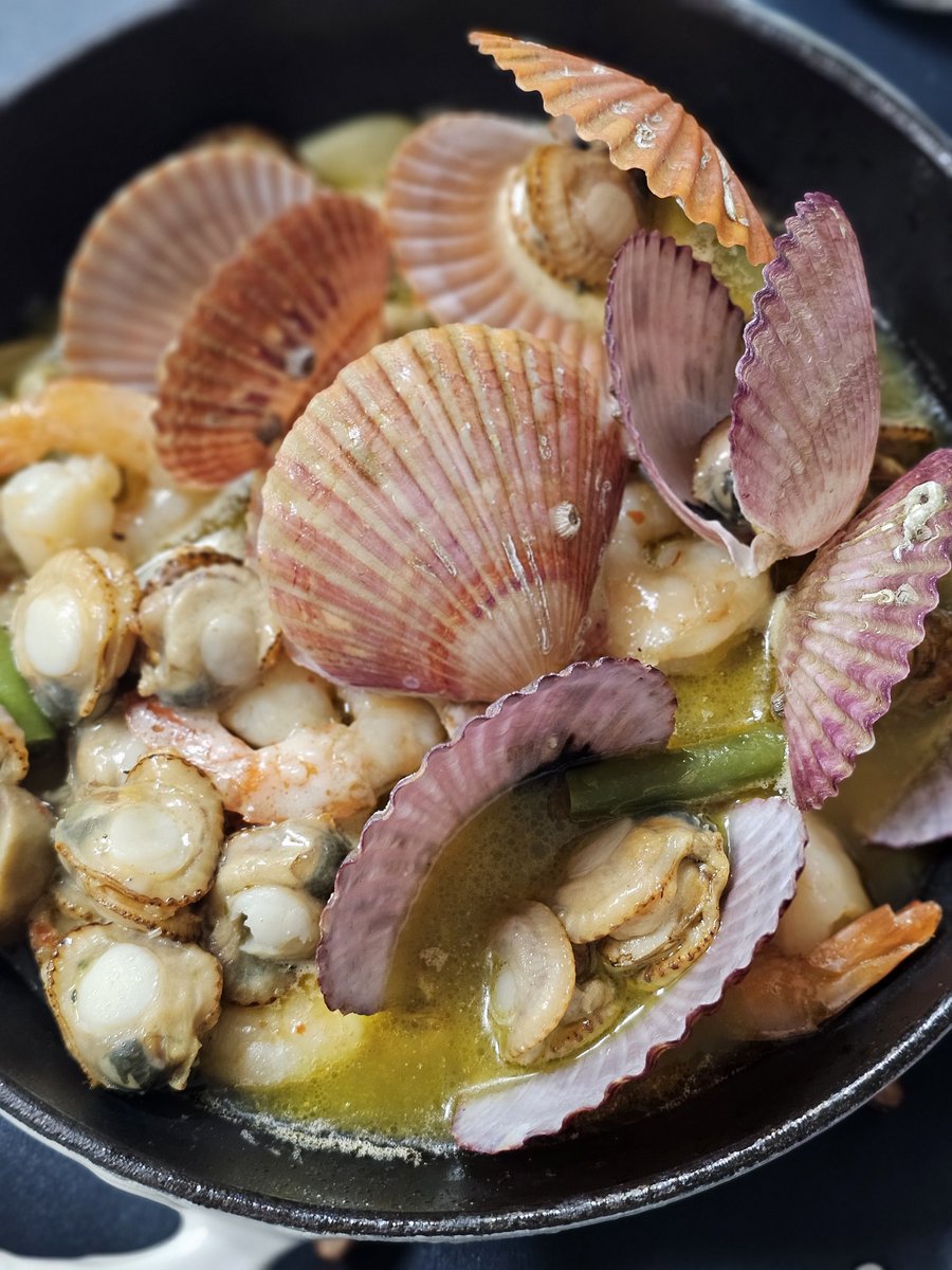 콩비니🐈🐱 tweet media