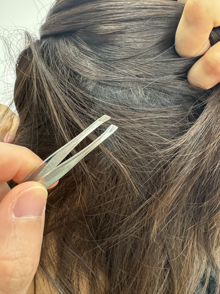 Mong2Father tweet media