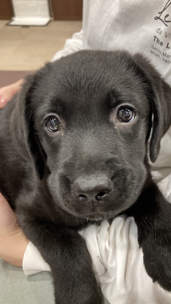 🌻メル🐕‍🦺 tweet media