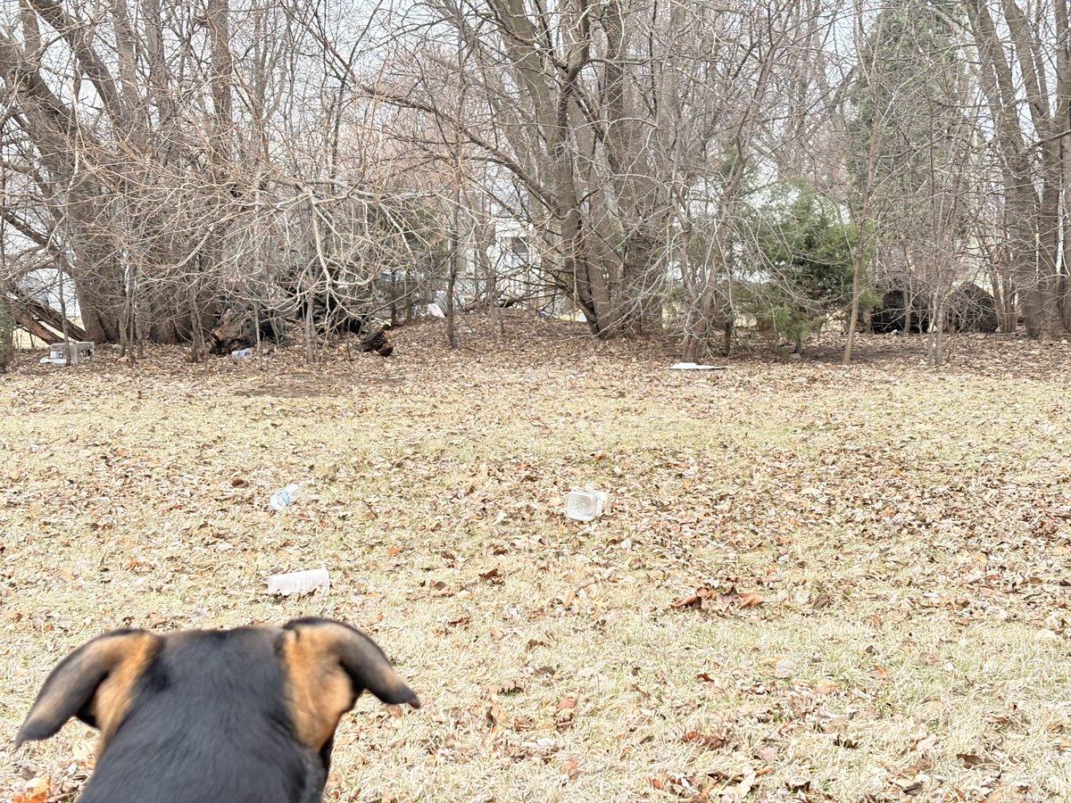 Rusty Patched tweet media