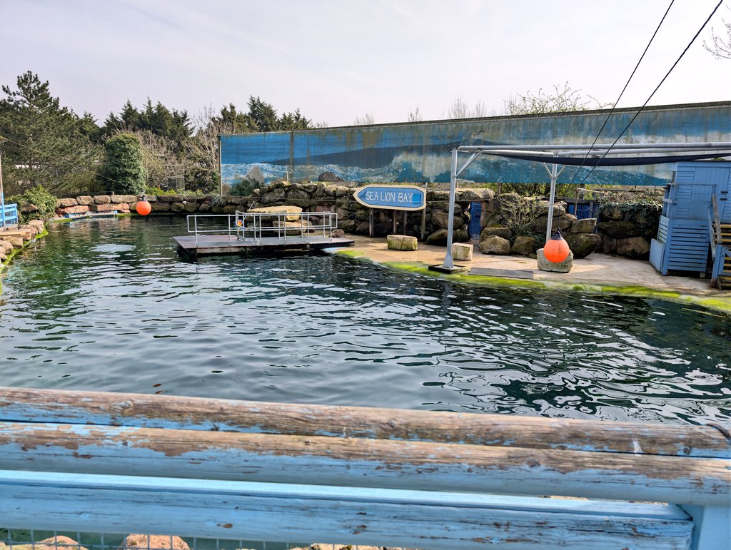 Chessington Buzz tweet media