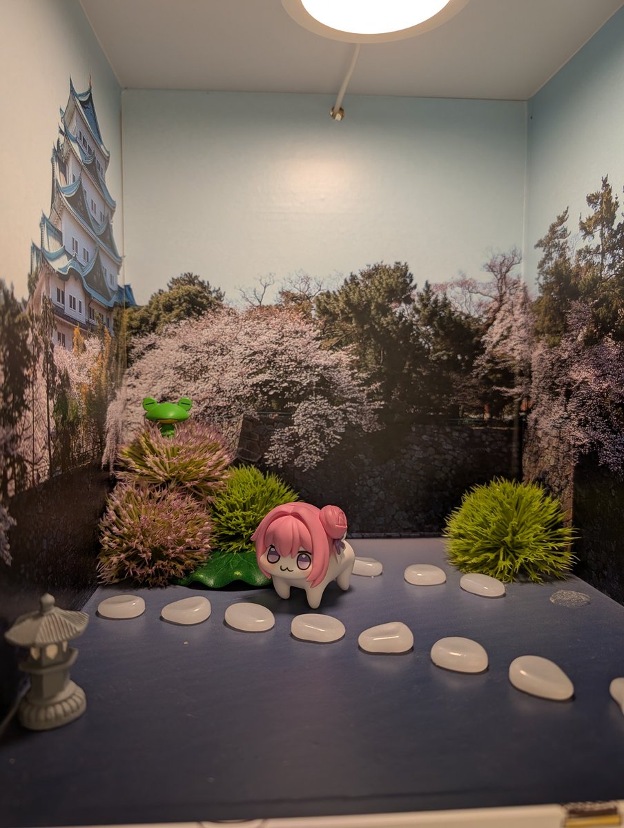 カツラ tweet media