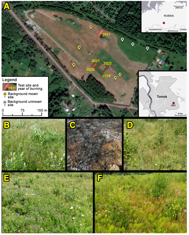 Fire MDPI tweet media