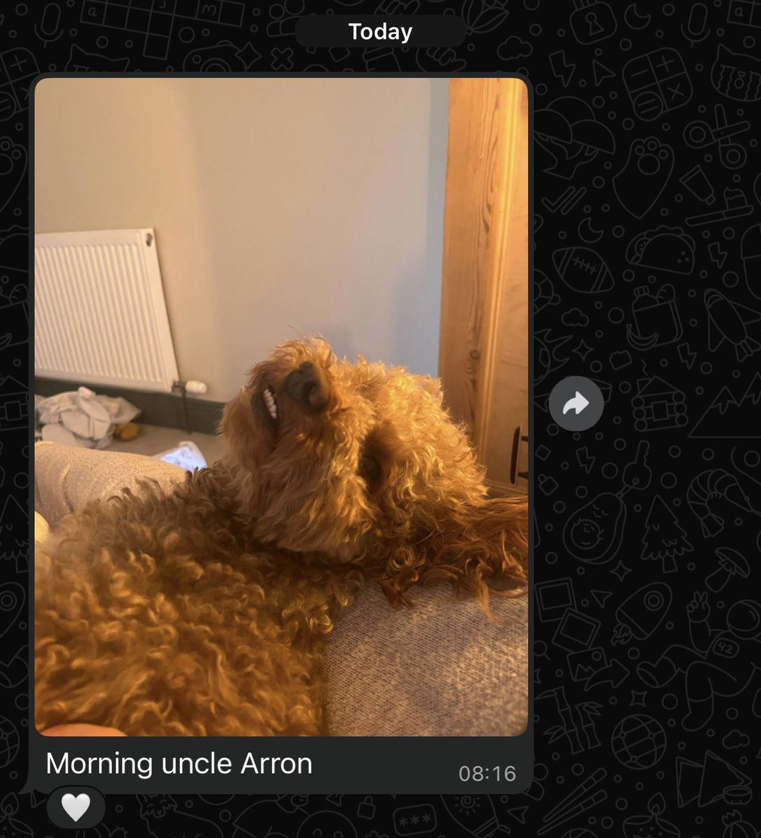 AzzaStreams 🏴󠁧󠁢󠁷󠁬󠁳󠁿 tweet media