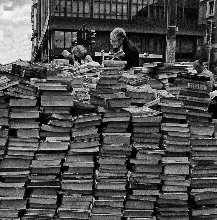 Diversidad literaria tweet media