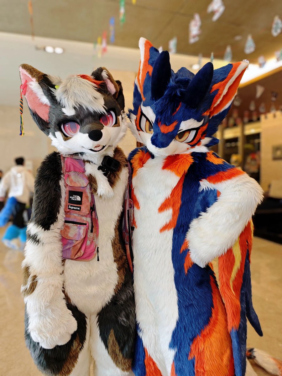 破晓 Allaub tweet media