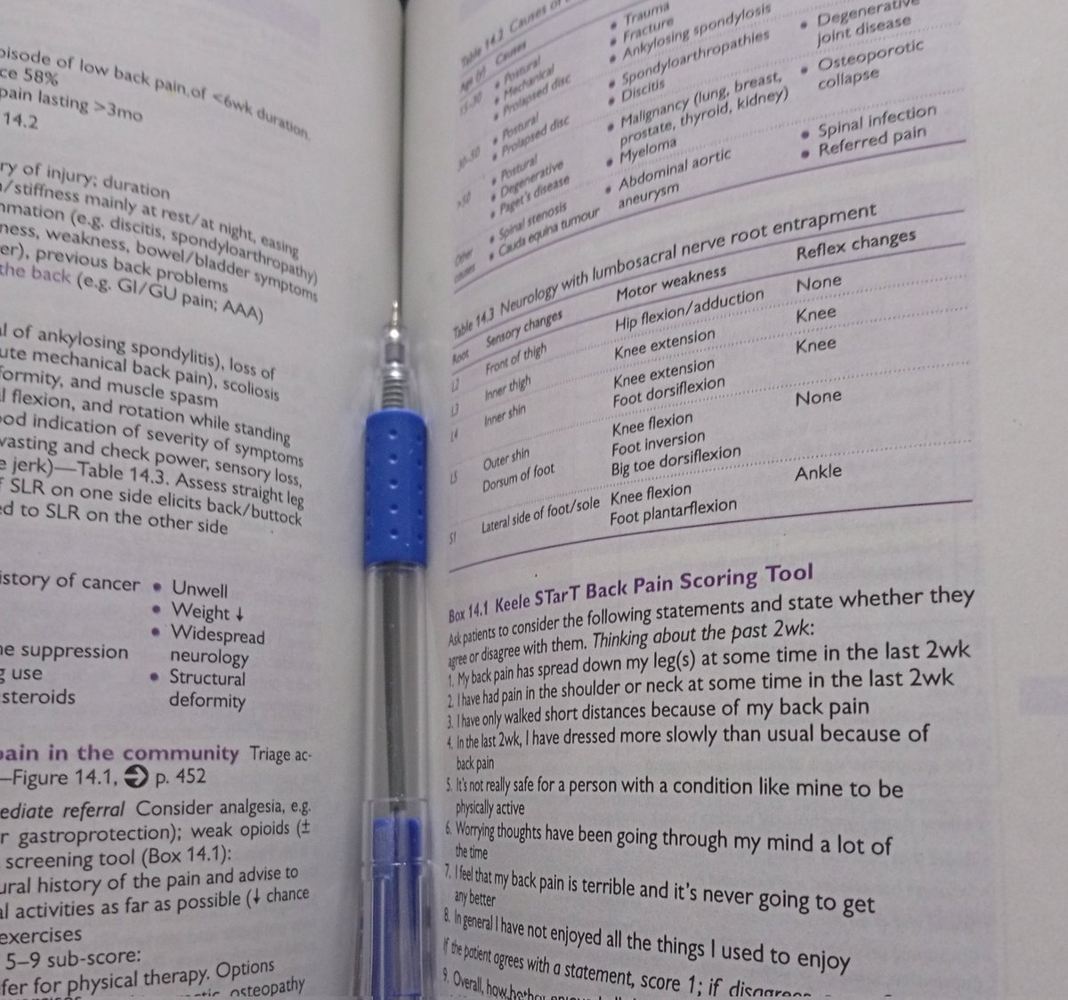 Fضu 🌻N آ z tweet media