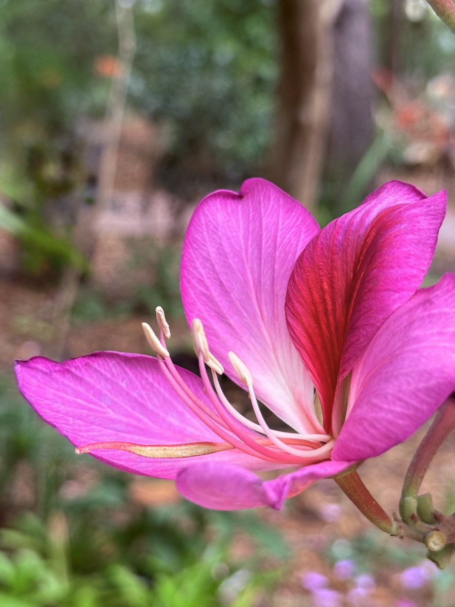 Ann Marie tweet media