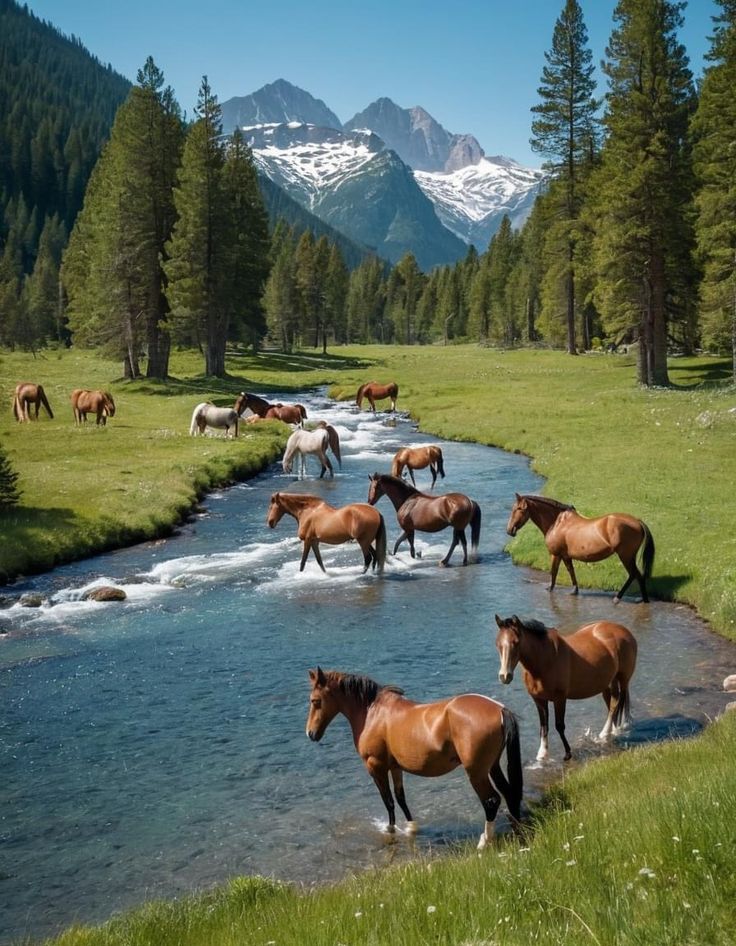 Magical views tweet media