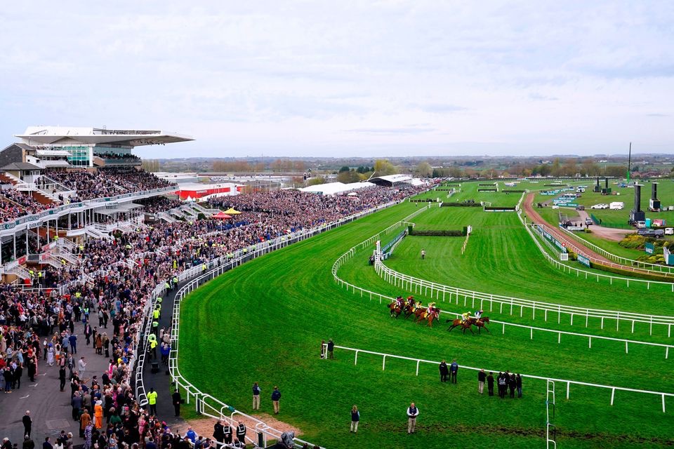 Racing Tips tweet media