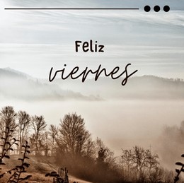 Adriana Cuervo tweet media