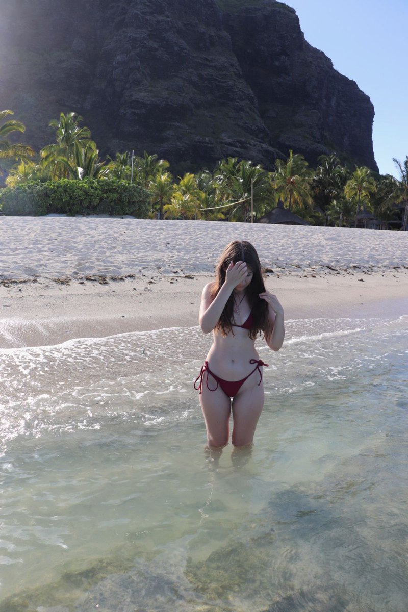 Mauritius Island tweet media