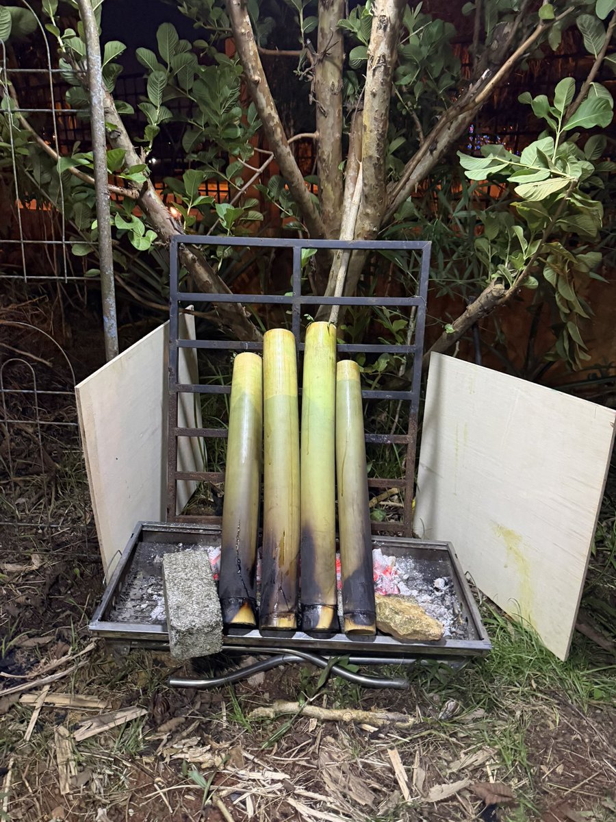 Dissembler tweet media