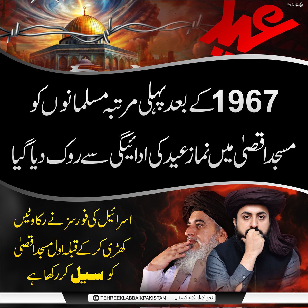 Crane Party Digital tweet media