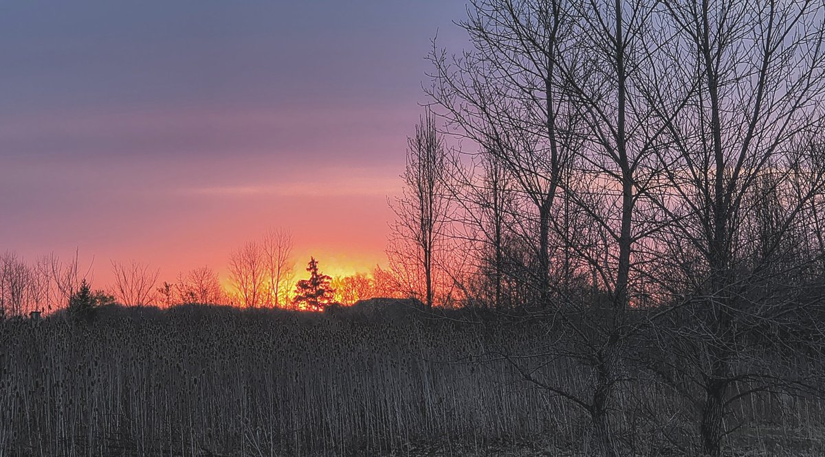 SteveB 🇺🇦🟧🐅💙🌈🌈 tweet media