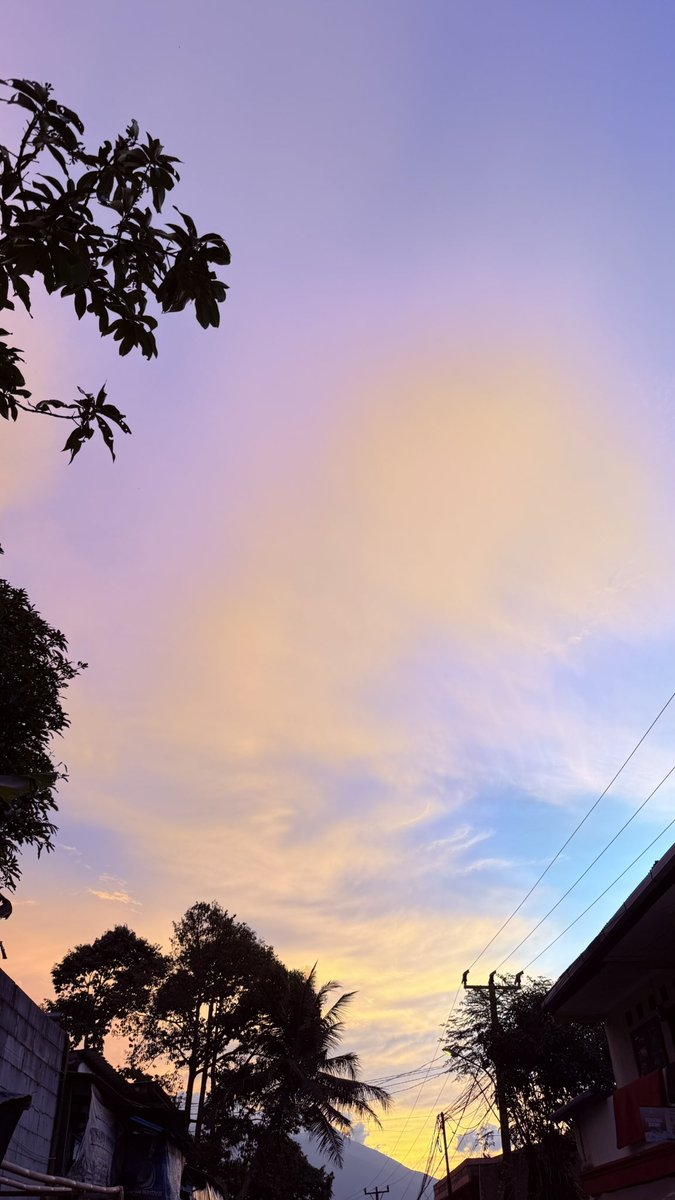 ʕᵔﻌᵔʔ tweet media