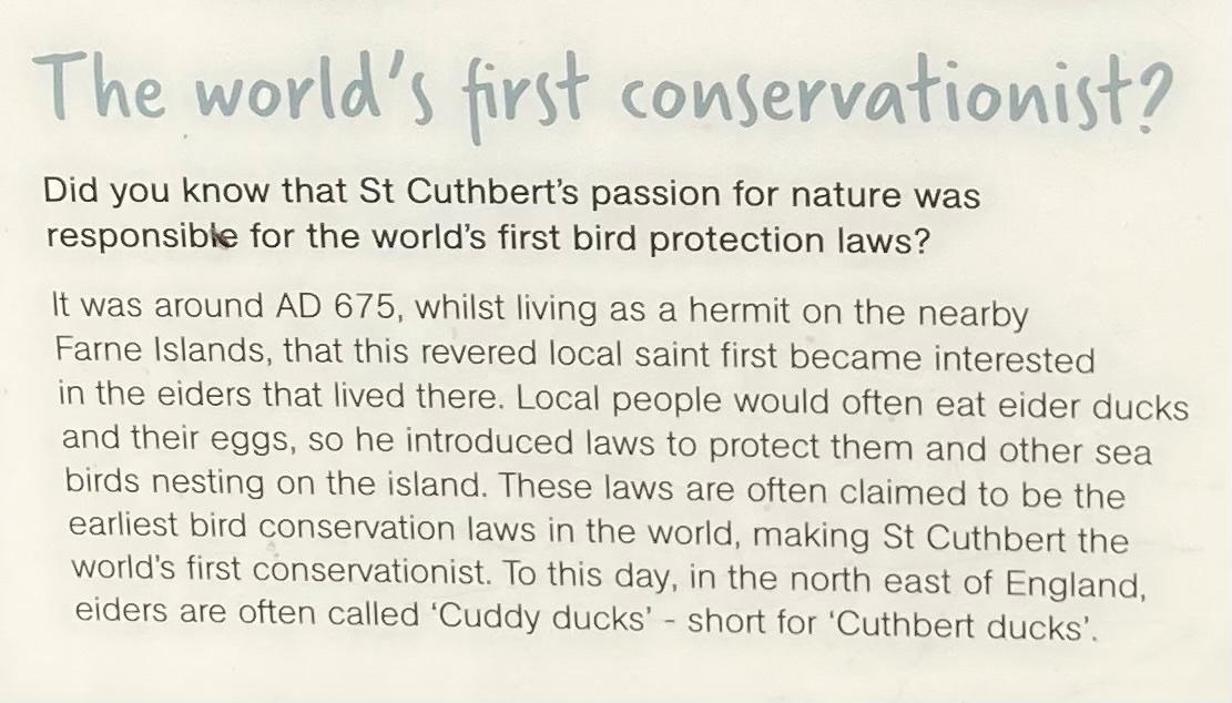 Parody Richard III’s Ghost tweet media