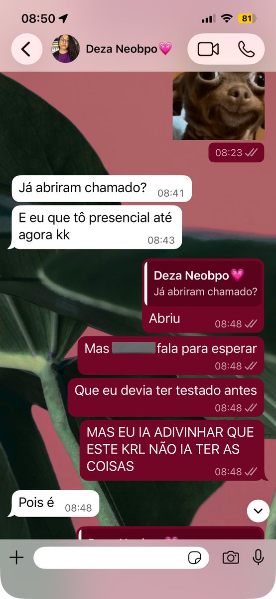 httpjuhzmoreira's tweet photo. Bom dia! Viva o home office mesmo hahahah https://t.co/2mrBaT19FN