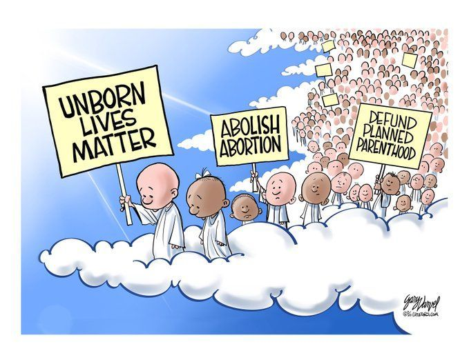 LifeNews.com tweet media