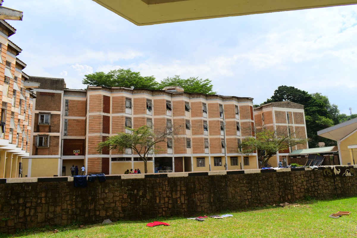 Mitchell Hall tweet media