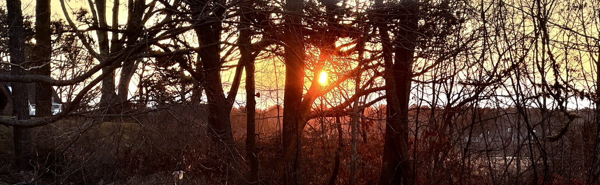 Kate Lynch Is Revising a #YA Novel tweet media