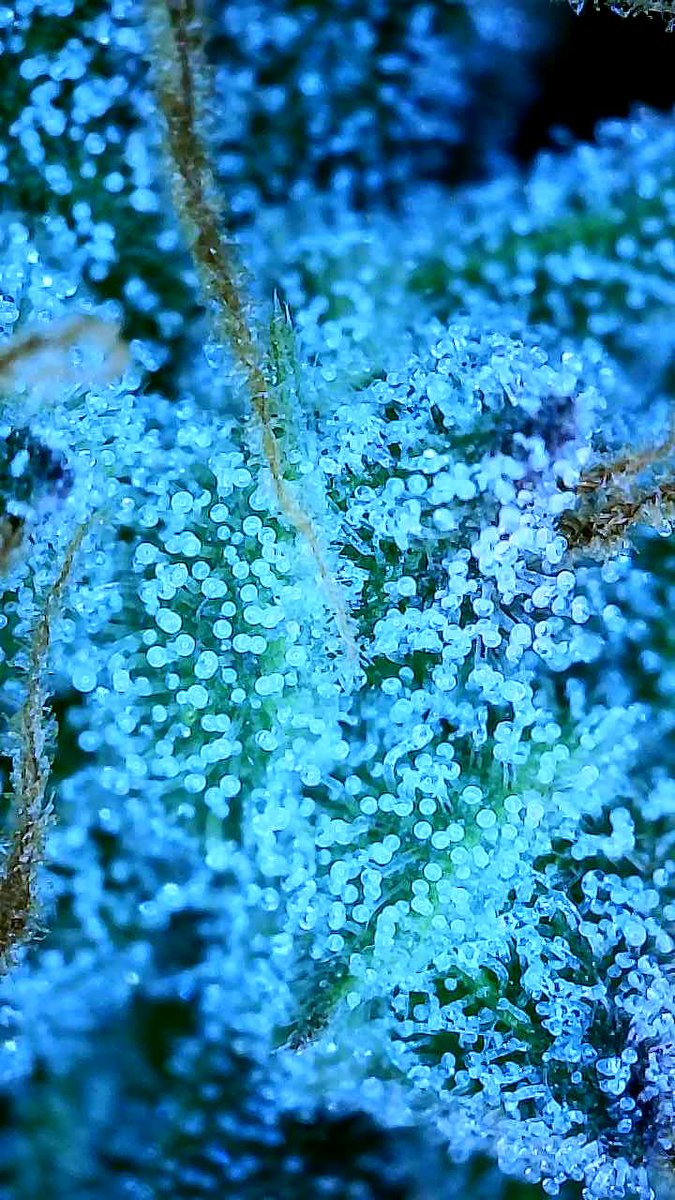 Ray_Jones tweet media