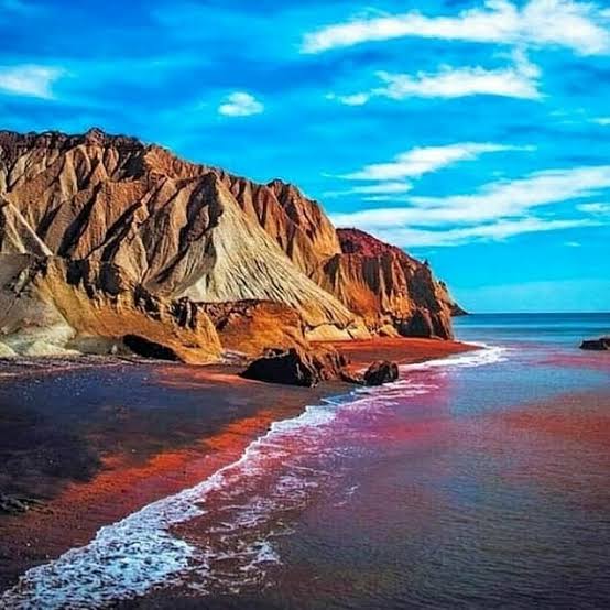 Snake Handler 🏴‍☠️ tweet media