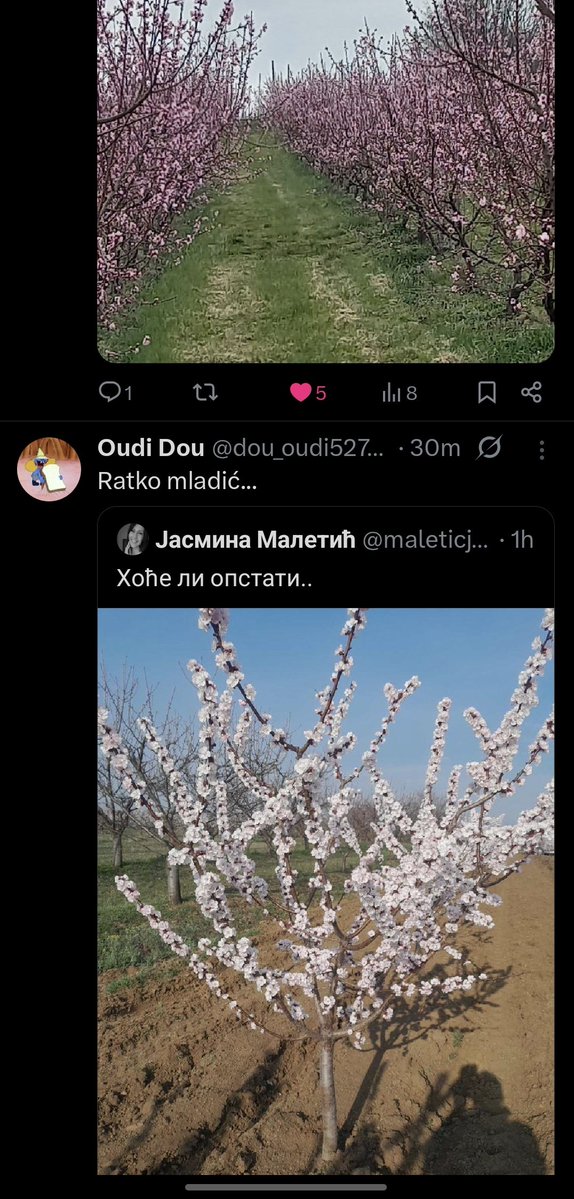 opet najjača lajna šta da vam kažem biro sam 🥹