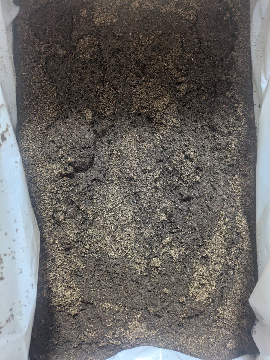 ゼロイチ01 tweet media