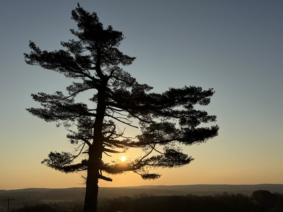 petermarteka's tweet photo. Farewell winter sunrises at the Lone Pine. Welcome spring at 10:46 a.m.
#Middlefield https://t.co/k3AOLkiK0b