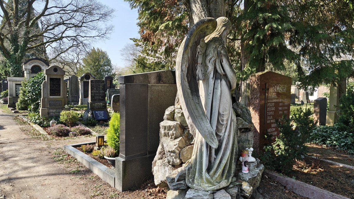 𝖕𝖎𝖘𝖘𝖋𝖊𝖗𝖆♱𝖚 ✠𐕣 tweet media