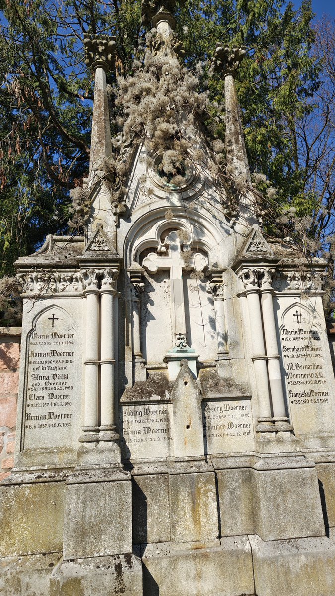 𝖕𝖎𝖘𝖘𝖋𝖊𝖗𝖆♱𝖚 ✠𐕣 tweet media