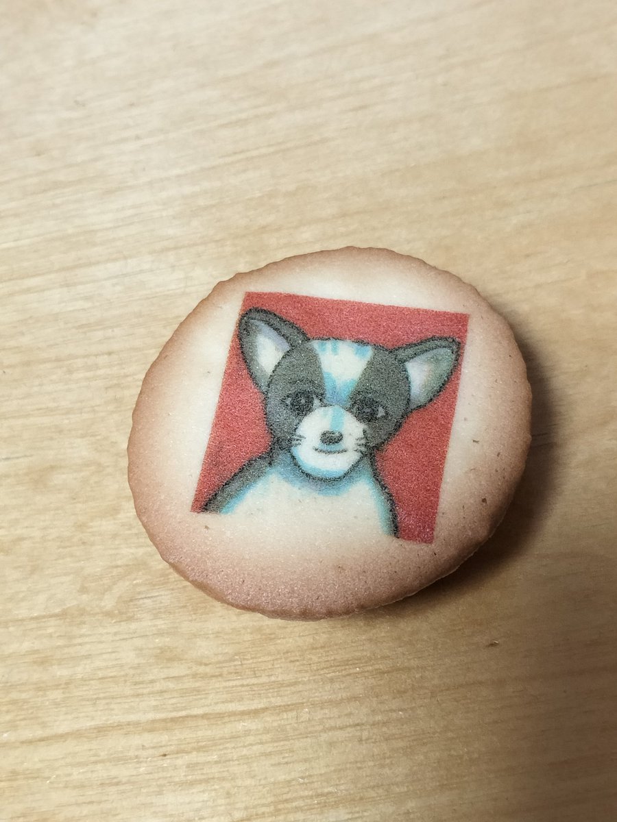 上原麦ヾ(+麦+)ﾉ゛ tweet media