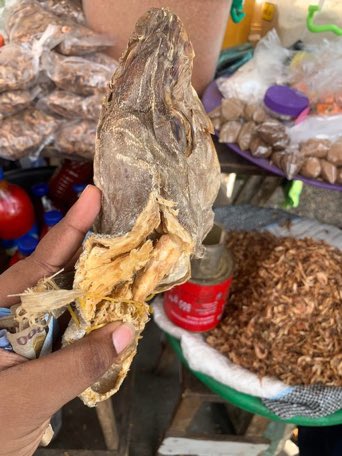 ✨ 𝓕𝓪𝓿𝓸𝓻𝓲𝓽𝓮 🎀🦋 tweet media