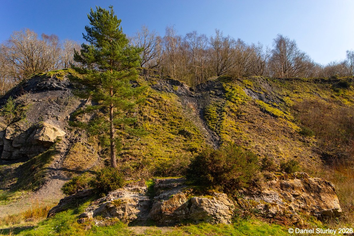 Daniel Sturley Photography tweet media