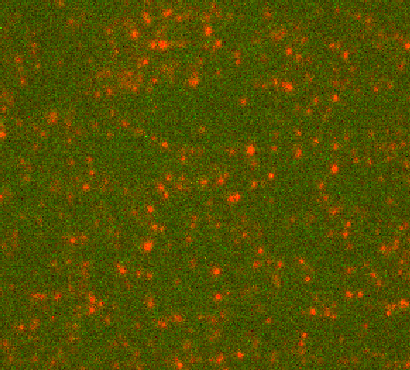 Daisuke Inoue @VRchat: Benthos tweet media