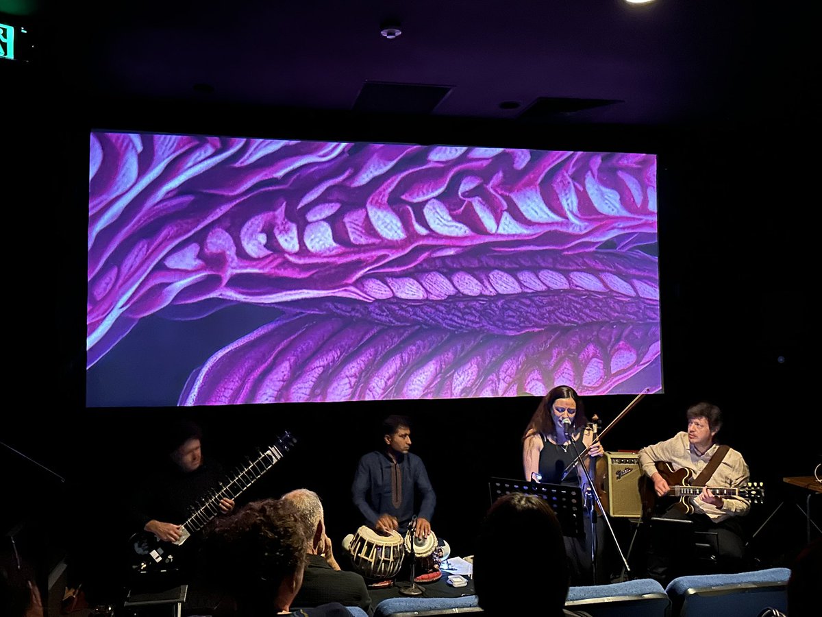 Poland in Australia tweet media